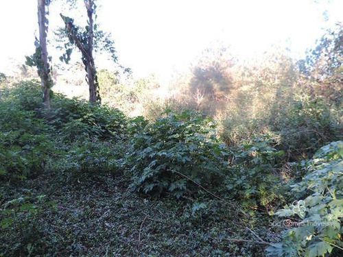 Imagem 4 de 4 de Terreno À Venda, 1445 M² Por R$ 350.000 - Chácaras Santa Lúcia - Granja Viana - Carapicuíba/sp - Te0053
