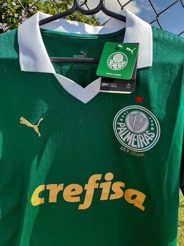 Camisa Palmeiras 24/25 Torcedor Puma Masculina - Verde