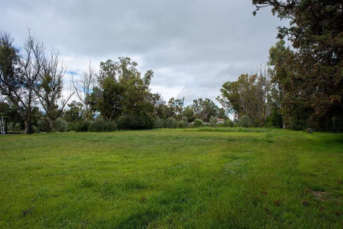 En Venta Lote En Viñedo San Lucas, San Miguel De Allende