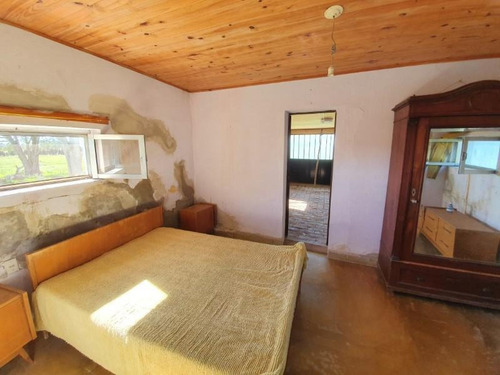 Imagen 18 de 30 de Molino Doll, Campo De 9 Hectáreas Con Casa, Sobre Ruta Y Con Costa De Arroyo