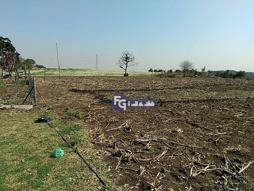 Imagem 11 de 20 de Terreno À Venda, 41125 M² Por R$ 6.167.000,00 - Campo Largo Da Roseira - São José Dos Pinhais/pr - Te0085