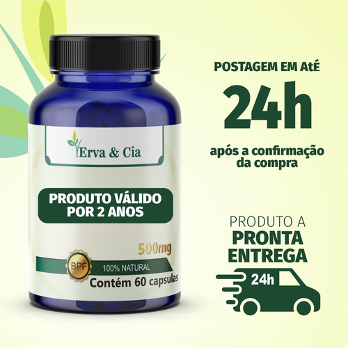 Imagem 2 de 4 de Equinácea Fortalece A Imunidade Pura Natural Capsula 8 Potes