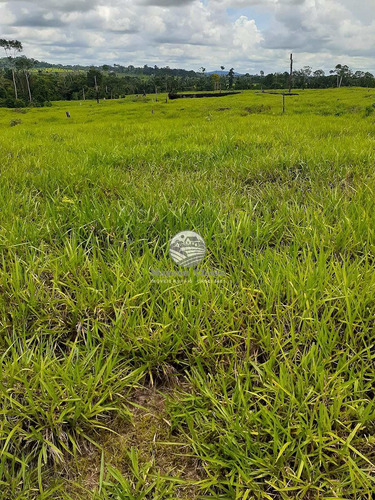 Imagem 5 de 10 de Venda Sítio Buritis Em Rondônia - Si337