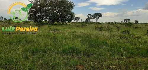 Imagem 2 de 10 de Fazenda Á Venda Em Figueirão - 844 Hec (pecuária) - 1917