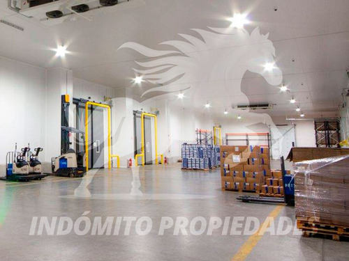 Bodega Industrial Puerto Montt