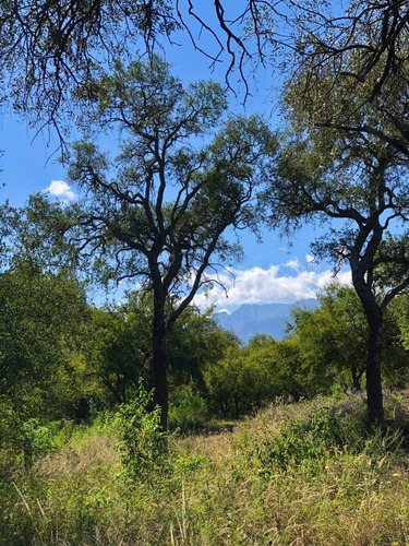 Imagen 13 de 24 de Lotes Con Escritura Desde 1556 M2 A 2365 M2 / Villa De Las Rosas - Traslasierra