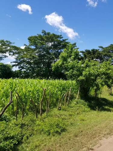 Imagen 9 de 11 de Se Vende 3 Lotes Colonia Carrillo