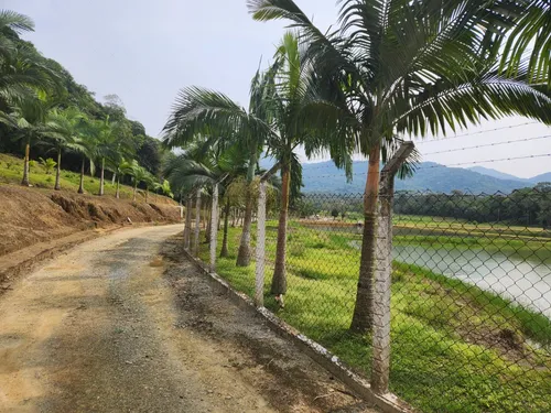 Fazenda De Piscicultura