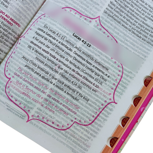 Biblia Da Garota Segundo O Coração De Deus Nova Viva Capa Dura Juventude Com Letra Grande E Indice Lateral