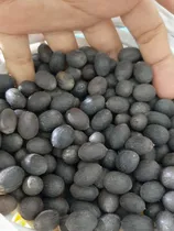 Comprar Semillas De Flor De Loto Germinada Y Semillas De Flor Loto