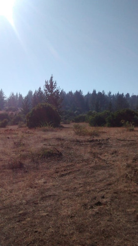 Terreno En Venta - Predio Las Pitras, Nacimiento, Bio Bio