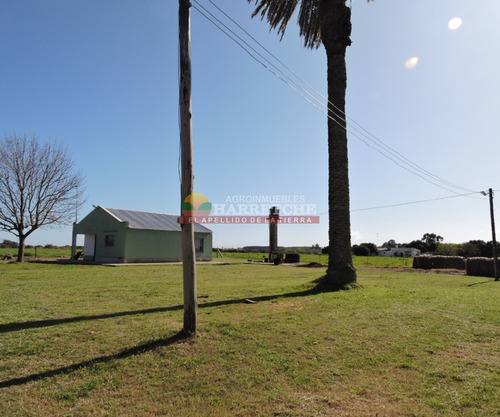 Campo En Venta 18 Has Canelones, Con Todas Las Instalaciones!