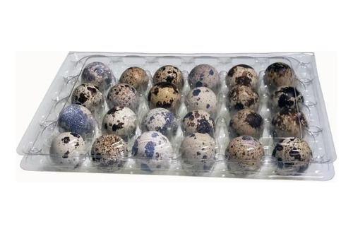 Pack 50 Cajas Bandejas De Plástico De 24 Huevos De Codorniz