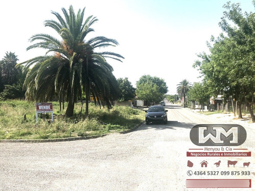 Venta Terreno En Trinidad Flores 300 M2