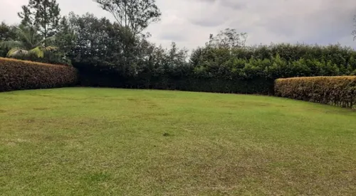 Lote En Venta En Rionegro. Cod V11366