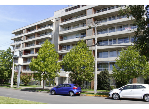 Depto.1 Dormitorio Semiamoblado Ucm, Incap, Mall Plaza Maule