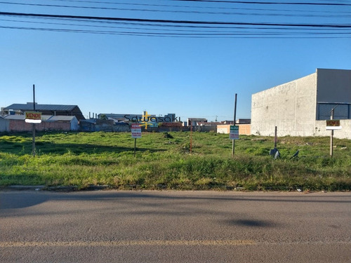 Imagem 5 de 10 de Terreno Para Alugar No Bairro Vargem Grande Em Pinhais - Pr. - 7169-2