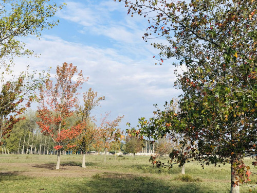 Lotes En Barrio Cerrado El Paso - Del Viso, Pilar