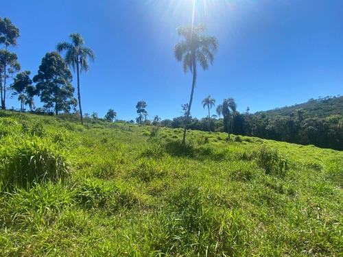 Imagem 4 de 5 de L22- Belissimo Terreno E Uma Bela Vista!