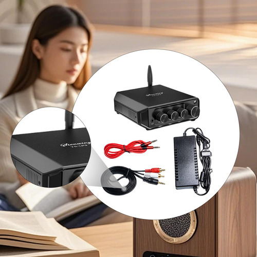 Amplificador De Potência Amplificador Estéreo Classe D