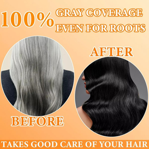 Paquete De 2 Champús Instantáneos Para Cabello Negro