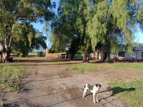 Imagen 6 de 13 de Vendo Finca San Rafael Goudge