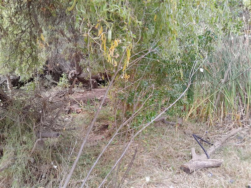 Terreno 2 Has Regimento Arica