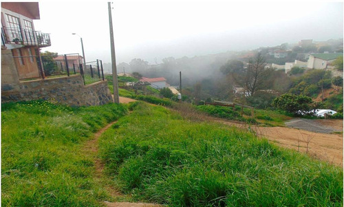 Región Valparaiso (73811)