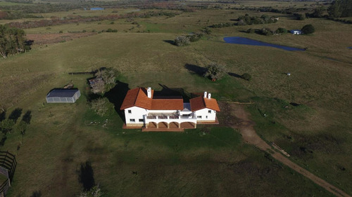 Imagen 3 de 30 de Chacra Punta Del Este, Ruta 12 Km 25,6