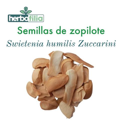 Semillas De Zopilote - Zopilopaztle Venadillo Caoba 500 Gr