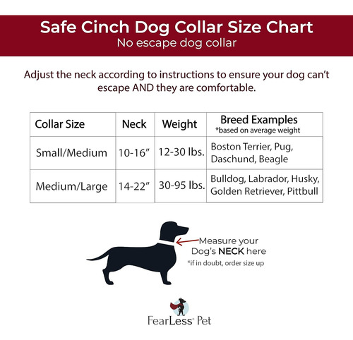 Pet - Collar De Perro Seguro A Prueba De Escapes, The Safest