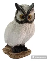 Comprar Cofre Coruja Branca Decoração ( Porco Cofre)