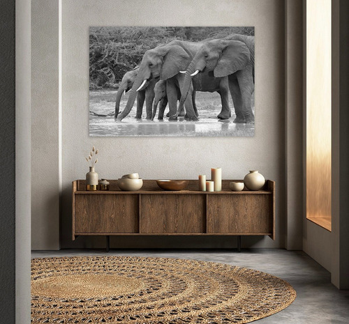 Cuadro Canvas 4 Elefantes Blanco Y Negro 80x120 Montado 