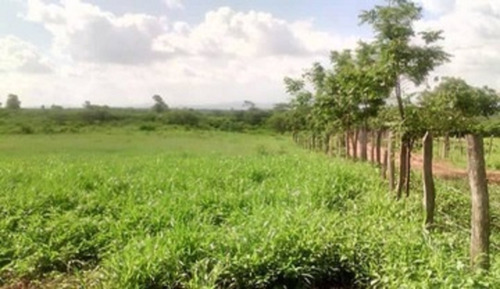 Imagen 7 de 9 de Altagracia De Orituco, Sector Lezama De Orituco Código: Att-102