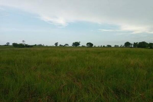 Imagen 8 de 8 de Finca Venta Rio Negro Municipio Machiques De Perija Mdm