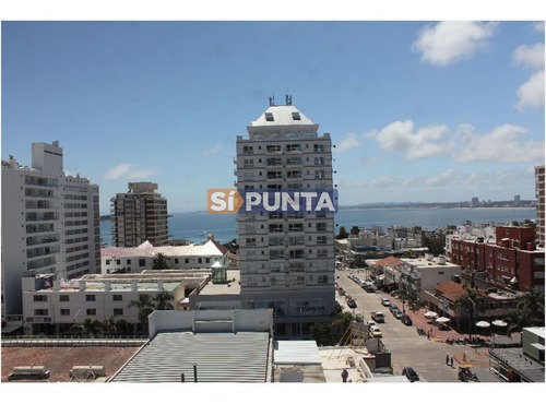 Imagen 13 de 30 de Apartamento En Venta Anual Zona De Península !!!