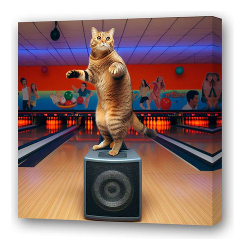 Cuadro 30x30cm Gato Bailando En Un Amplificador Dance