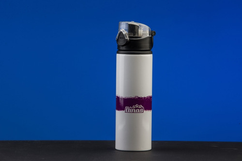 Imagen 3 de 4 de Termo Dinos Lfa 600 Ml