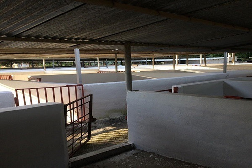 Imagen 8 de 25 de Asein882 Vende Excelente Finca En Tinaquillo Sector Caño De Agua