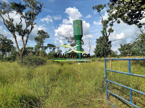 Oportunidade Chácara À Venda Uberlândia 20.000 M² Por R$ 130.000, Financia - 394