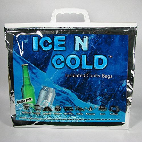 Hielo N Insulado Picnic / Bolsas De Refrigeración Gr3l2