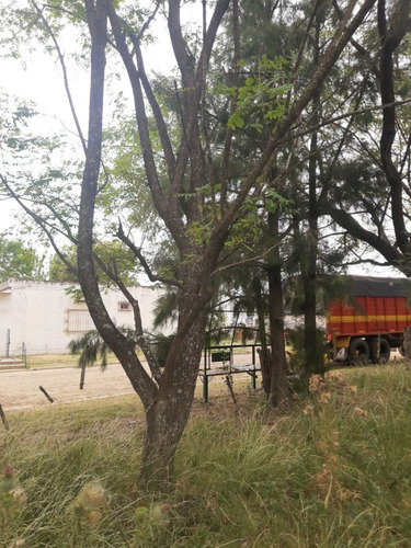 Imagen 14 de 20 de Terreno Esquina Céntrica Concordia, Los Charruas. Asfalto. Todos Los Servicios (400 M2).