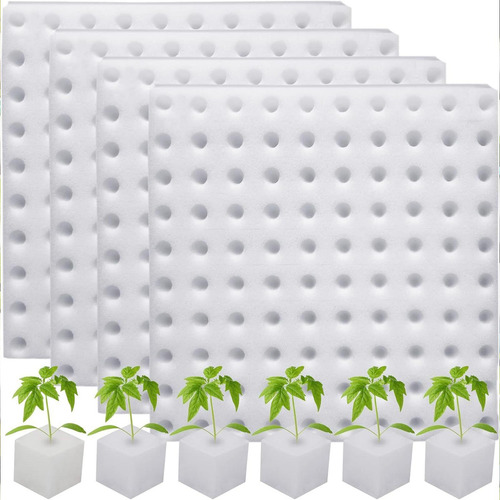 Plantas De Esponja Hidropónica Capa De Crecimiento Cultivo