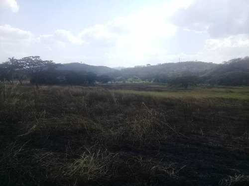 Bejuma Sabaneta Carabobo