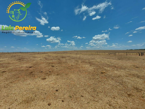 Imagem 1 de 14 de Fazenda À Venda Em Tupiratins - To -n 1.728 Hectares (dupla Aptidão) - 2058