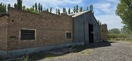Galpón 1000 M2 C/ Ofi Y Baño - Centenario