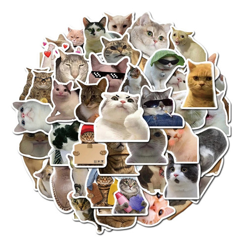Stickers De Gatitos Calcomanías Memes De Gatos Pegatinas Pvc