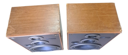 Parlantes Technics Sb-lx70 Con Detalles Esteticos Marrón