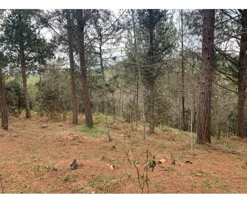 Lote En Venta En El Retiro Sector Lejos Del Nido