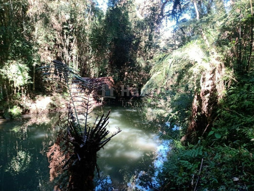 Imagem 25 de 30 de Chácara À Venda Em Rio Dos Cedros/sc - 1742c